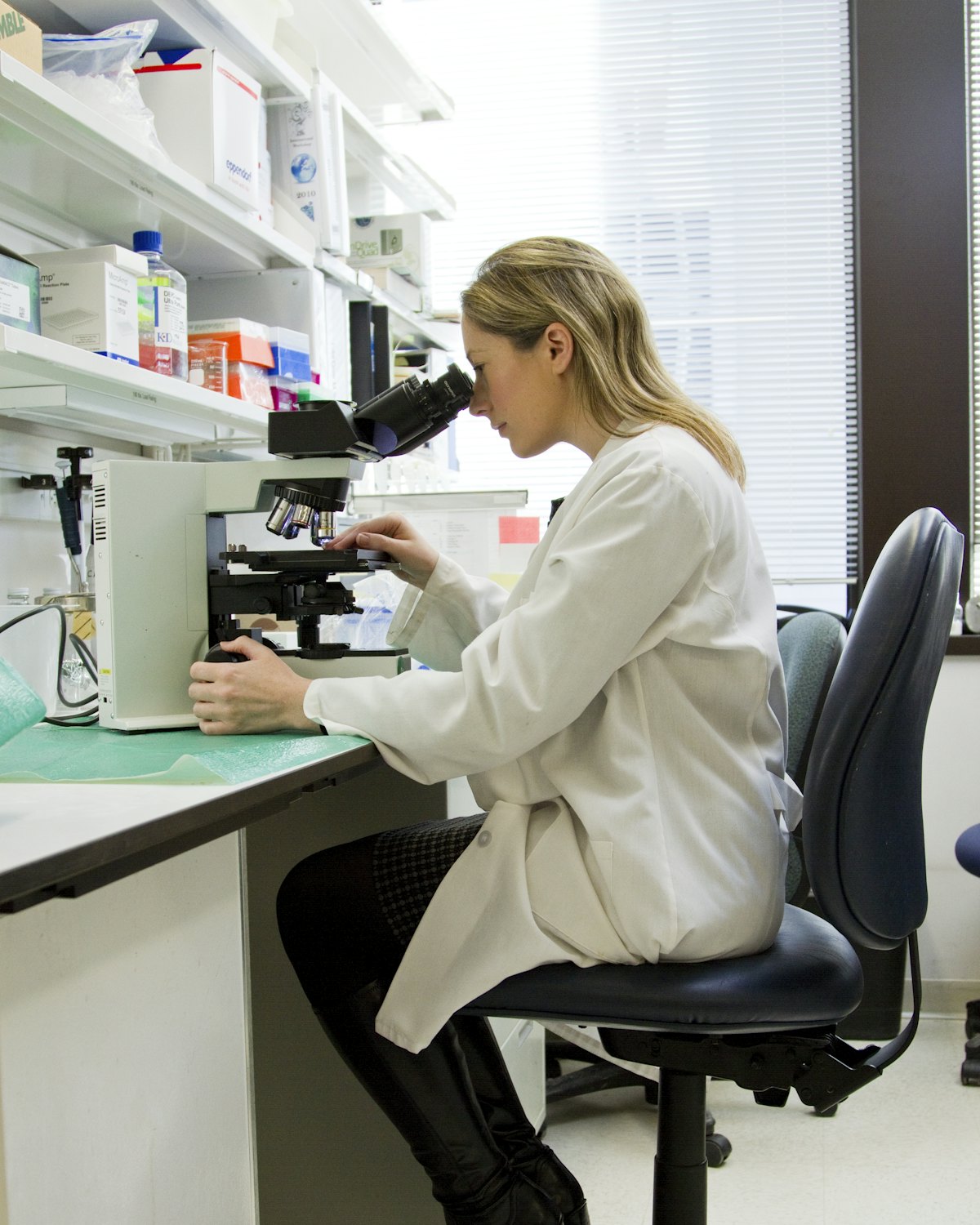 Scientist working at a microscope in a laboratory