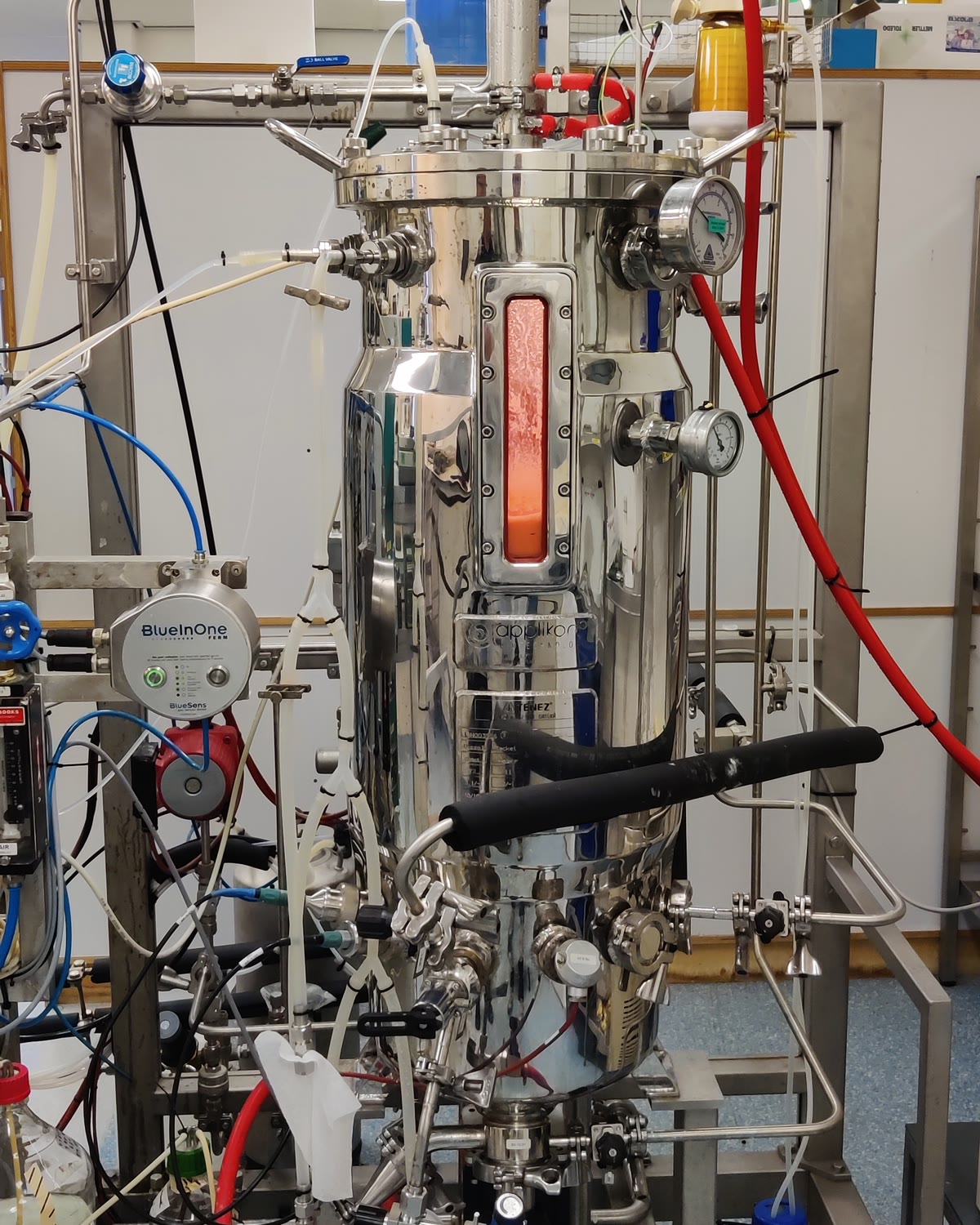 Nexes Biotech pilot bioreactor in the laboratory